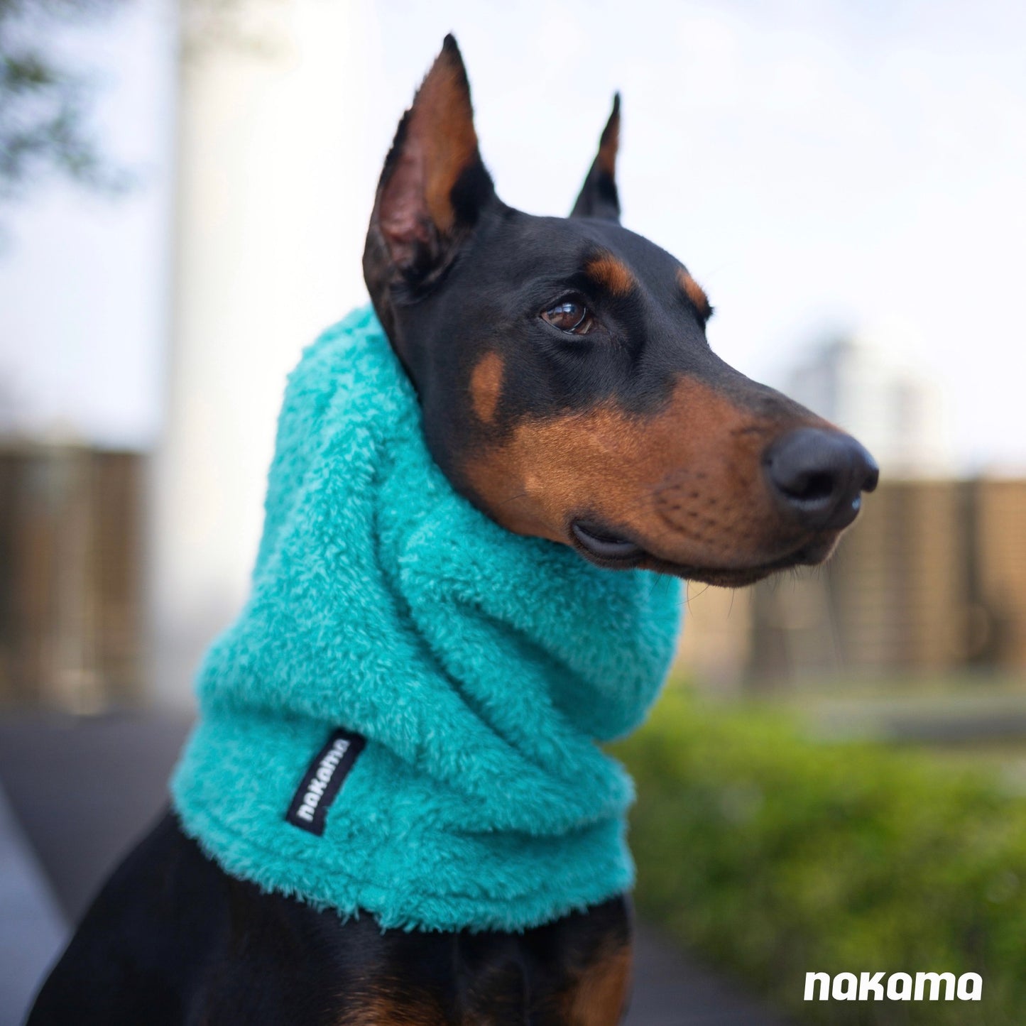 THE FISHERMAN NECKWARMER 回收材質刷毛脖圍 - TEAL GREEN