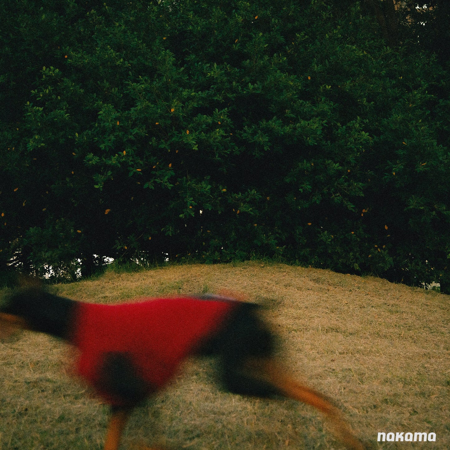 THE FISHERMAN VEST V2 回收材質刷毛背心 V2 - MAGENTA