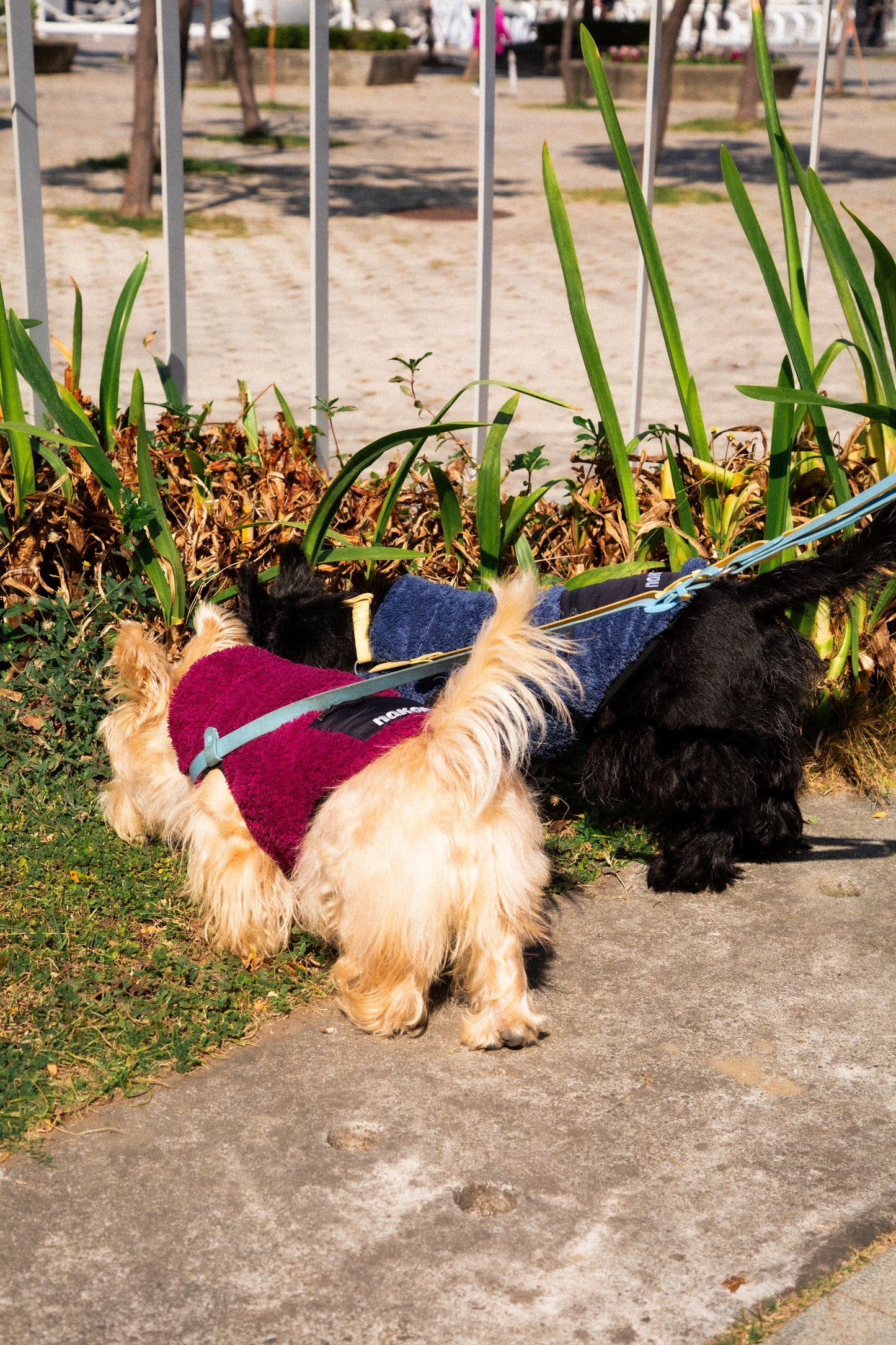 THE FISHERMAN VEST V2 回收材質刷毛背心 V2 - PRUSSIAN BLUE