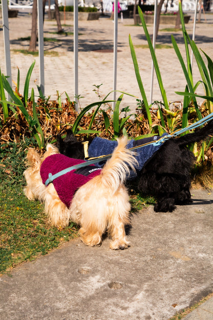THE FISHERMAN VEST V2 回收材質刷毛背心 V2 - PRUSSIAN BLUE